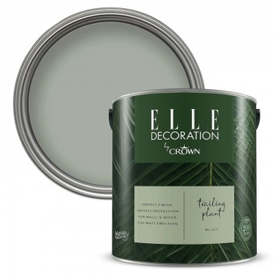 elle by crown matt tester pot 125ML trailing plant