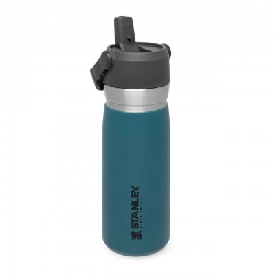 STANLEY GO FLIP STRAW WATER BOTTLE 22OZ 0.65L